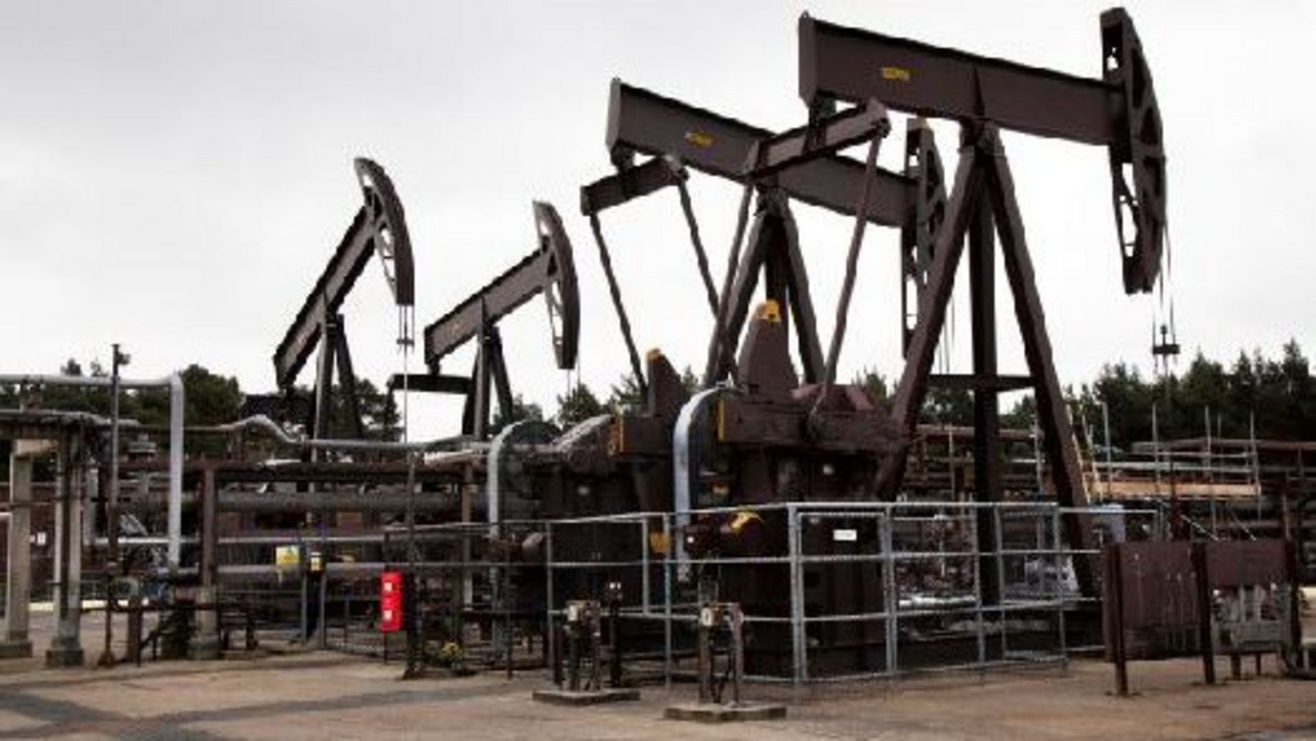 Perenco Petroleum