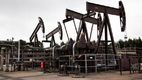 Perenco Petroleum